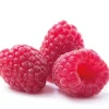Sale Cerf Dellier Extrait De Framboise 20% Patisdecor 50 Ml