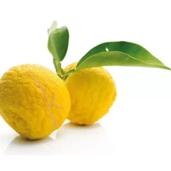 New Cerf Dellier Extrait De Yuzu Patisdecor 50 Ml