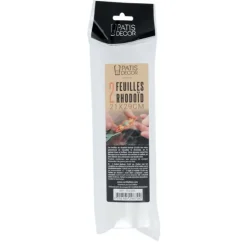 Discount Cerf Dellier Feuilles Rhodoïd 21 X 29 Cm Patisdecor (X2)