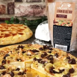 Best Cerf Dellier Levain De Ble Dur Pour Pâte À Pizza Patisdecor 150 G