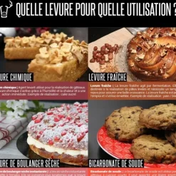 Cerf Dellier Levure De Boulanger Seche Instantanee 50 G Patisdecor