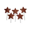 Hot Cerf Dellier Moule Chocolat Sucettes Etoiles Smiley