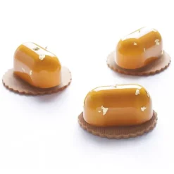 Hot Cerf Dellier Moule En Silicone Delish 15 Empreintes Pavoni Italia
