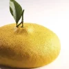 Best Cerf Dellier Moule Silicone Citron Pavoni