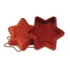 New Cerf Dellier Moule Silicone Etoile