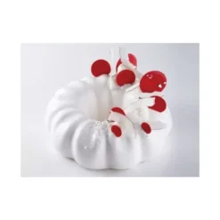 Discount Cerf Dellier Moule Silicone Insert Pour Moules Ronds Pavoni