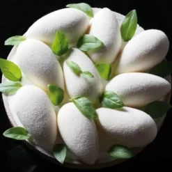 New Cerf Dellier Moule Silicone Mini Quenelles Pavoni