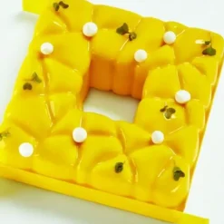 Clearance Cerf Dellier Moule Silicone Square Pavoni